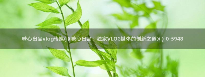 糖心vlog日常生活：糖心出品vlog传媒(《糖心出品：独家