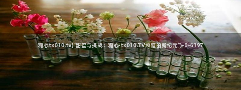 糖心vlog无限次数版：糖心tx010.tv(\
