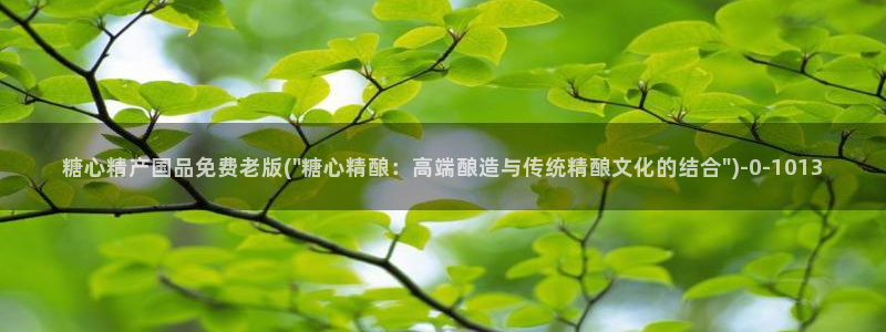 糖心vlog破解视频