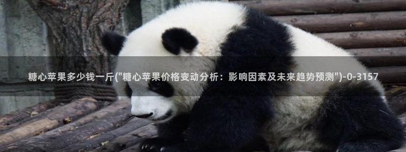 糖心vlog新入口