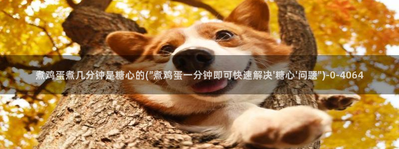 心糖vlog官网入口