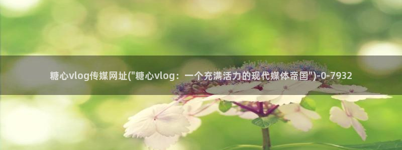 什么是糖心vlog