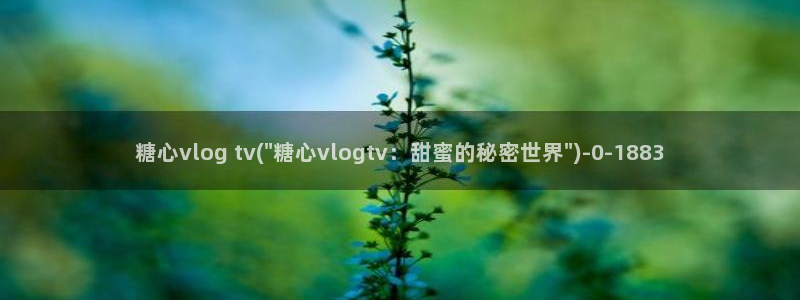 糖心vlog破解版网址