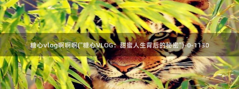 糖心vlog下载心糖